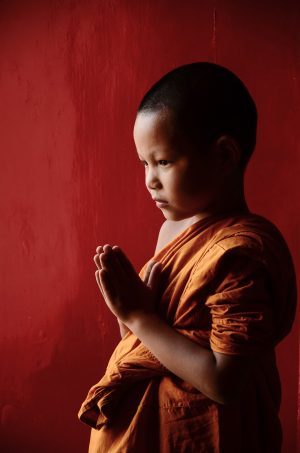 4-daagse Workshop Zhengti Therapy met Teacher Ning - VOL